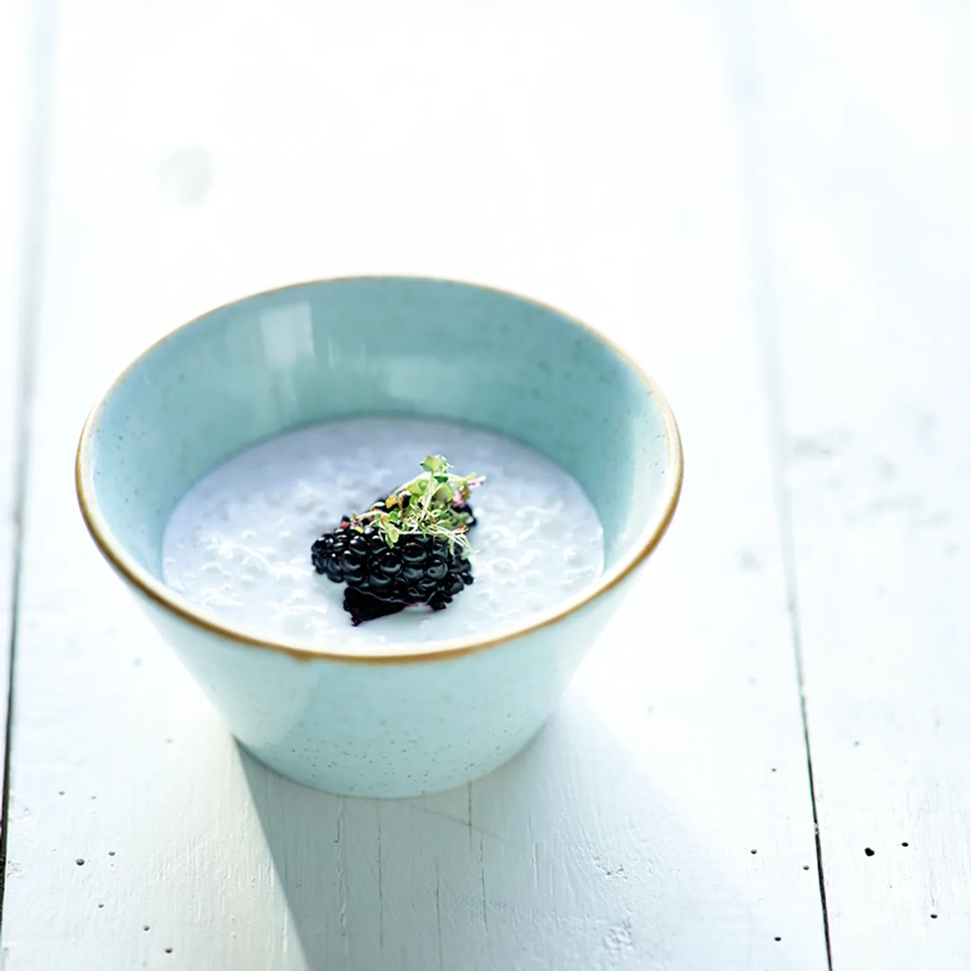 Littlepod vanilla rice pudding with blackberry purée and fresh blackberries