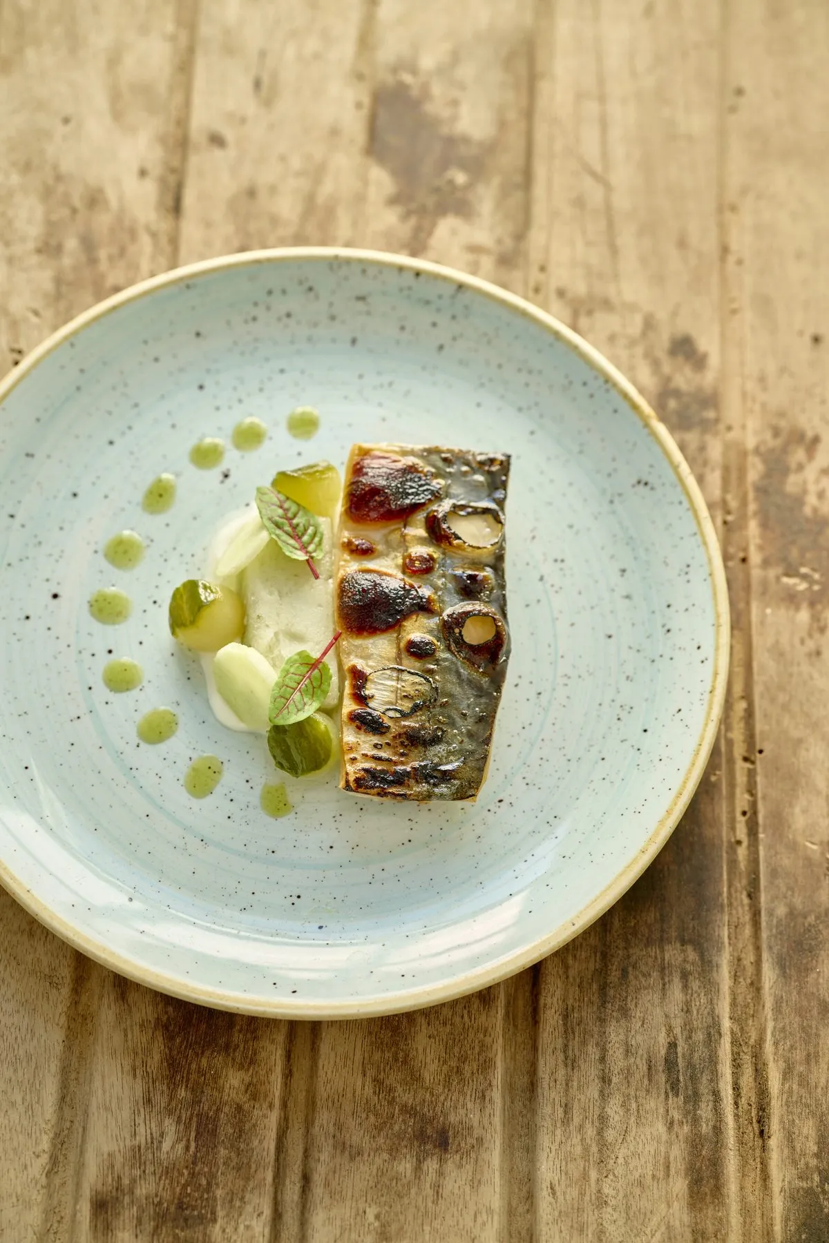 Flame-blistered mackerel with cucumber, herb oil and sorrel granita, plated on a pale blue ceramic